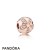 Pandora Jewelry Nature Charms Dazzling Daisies Clip Pandora Jewelry Rose Clear Cz Official
