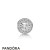 Pandora Jewelry Essence Patience Charm Official