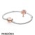 Pandora Jewelry Rose Wildflower Meadow Gift Set Official
