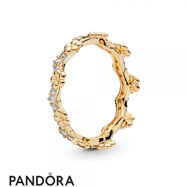 Pandora Jewelry Shine Flower Crown Ring Official