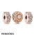 Pandora Jewelry Rose Sparkling Radiance Charm Pack Sotre Official